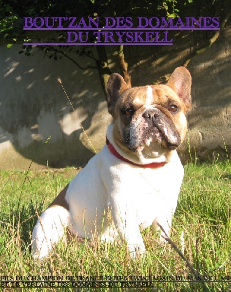 Bout'zan des domaines du Tryskell